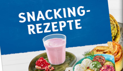 MFS - Rezeptfolder Snacking - 2025
